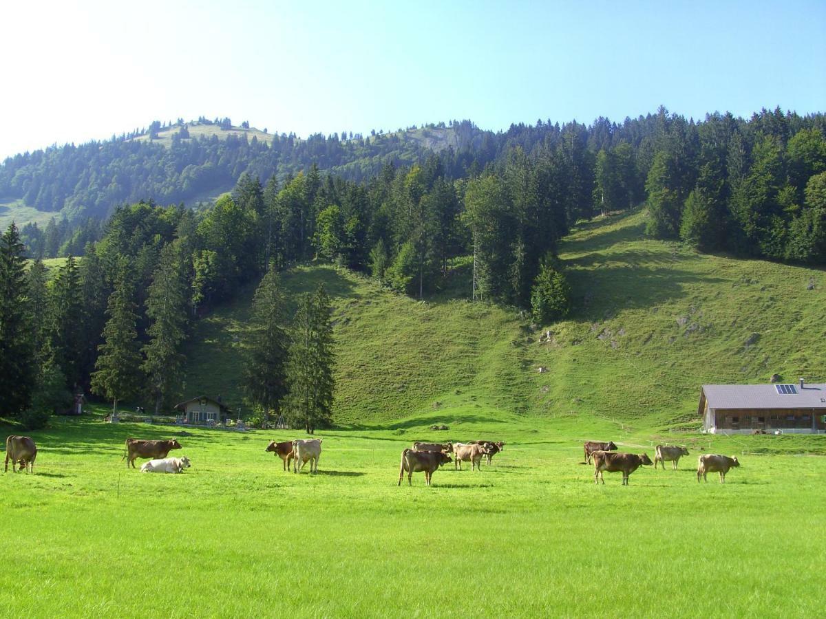 Gaestehaus Lutz Mellau Luaran gambar